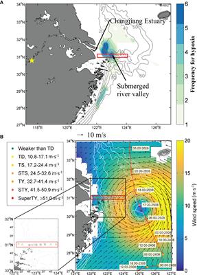 Response Process of Coastal Hypoxia to a Passing Typhoon in the East China Sea